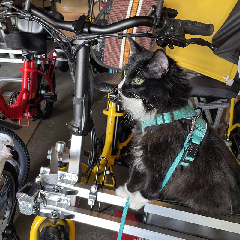 Tuxedo cat sitting on a yellow Blackbird Bikes Go4-E side-by-side electric bicycles, VeeGo Quadribike